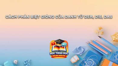 Cach Phan Biet Giong Cua Danh Tu Der Die Das