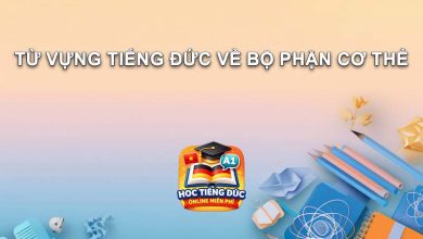 Tu Vung Tieng Duc Ve Bo Phan Co The